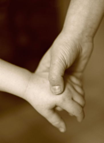 4791822776_ff00bf47c6