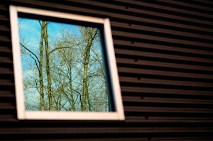 5504773801_c6c9cfefcc