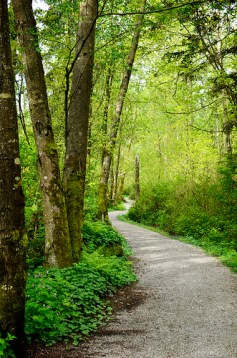 5735988842_0b59e0cdb3