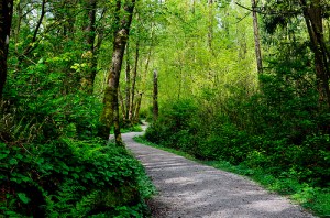 5735438561_b5e2a7954d