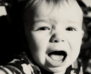 6618128521_cdf587d96c